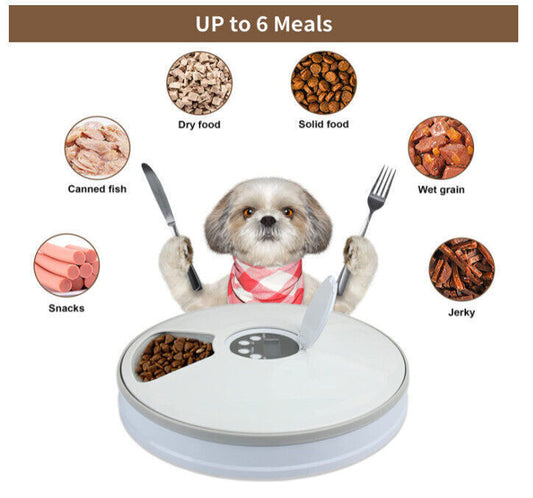 Automatic Food Dispenser Timed Food Bowl Music