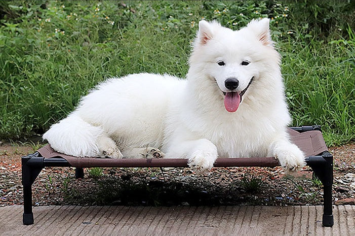 moisture-proof removable washable stack dog bed