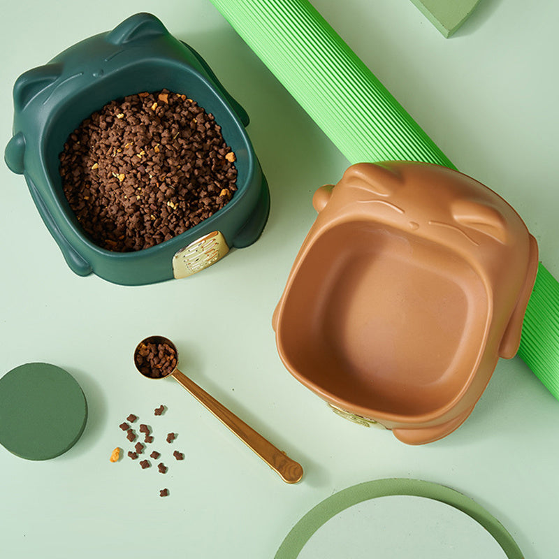 Anti-Choking Cat Feeder Bowl