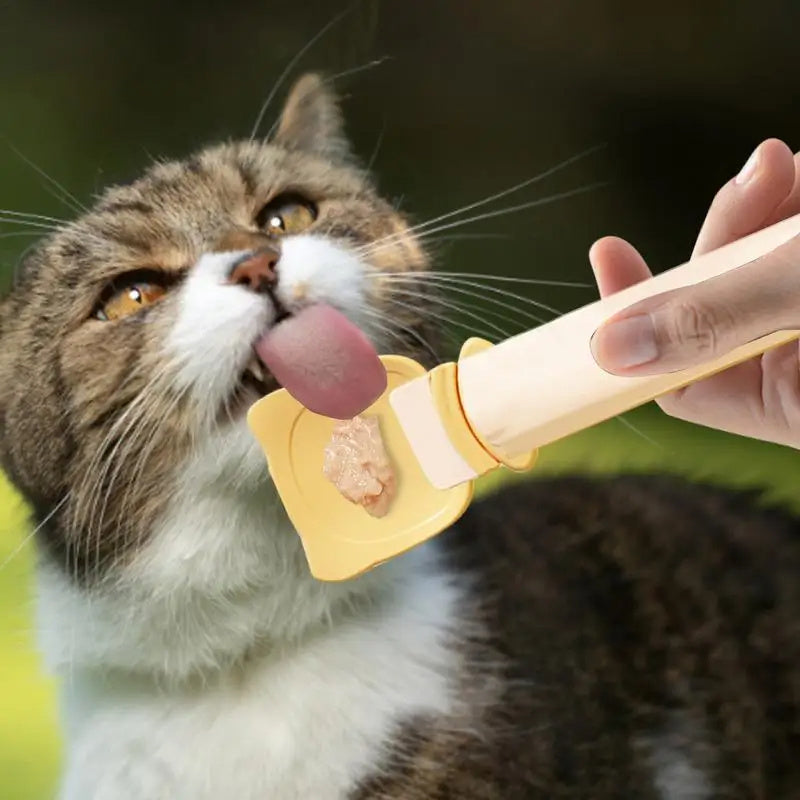 Portable Cat Feeding Spoon