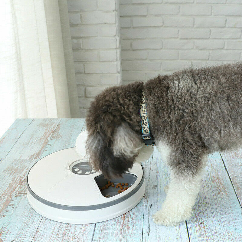 Automatic Food Dispenser Timed Food Bowl Music