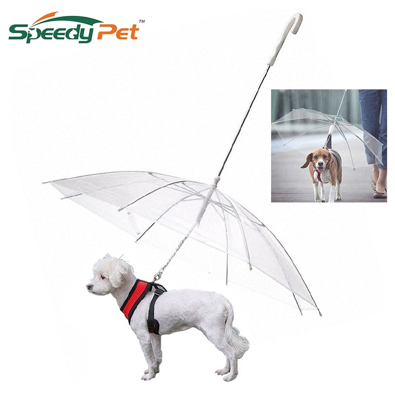Transparent Pet Umbrella with Leash Assembly