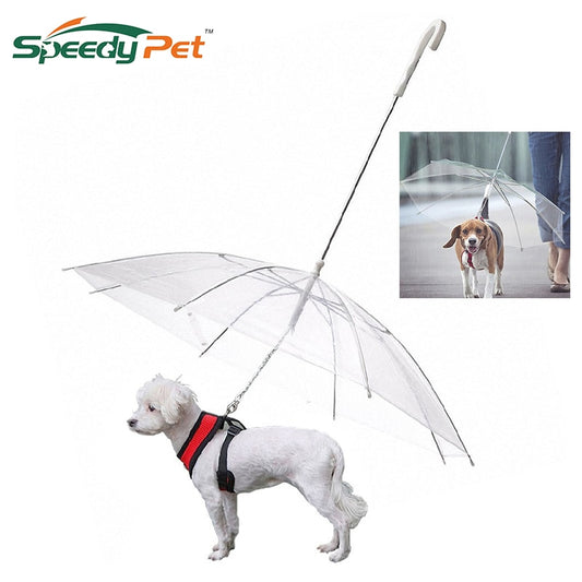 Transparent Pet Umbrella with Leash Assembly
