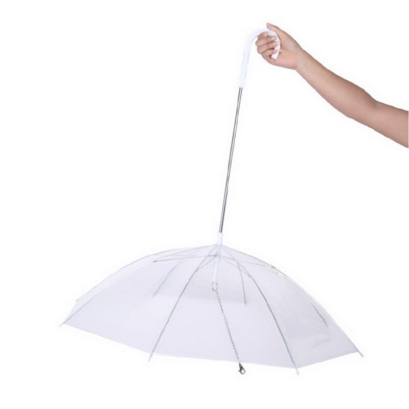 Transparent Pet Umbrella with Leash Assembly