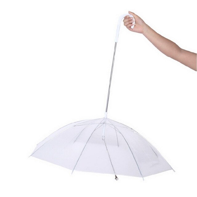 Transparent Pet Umbrella with Leash Assembly